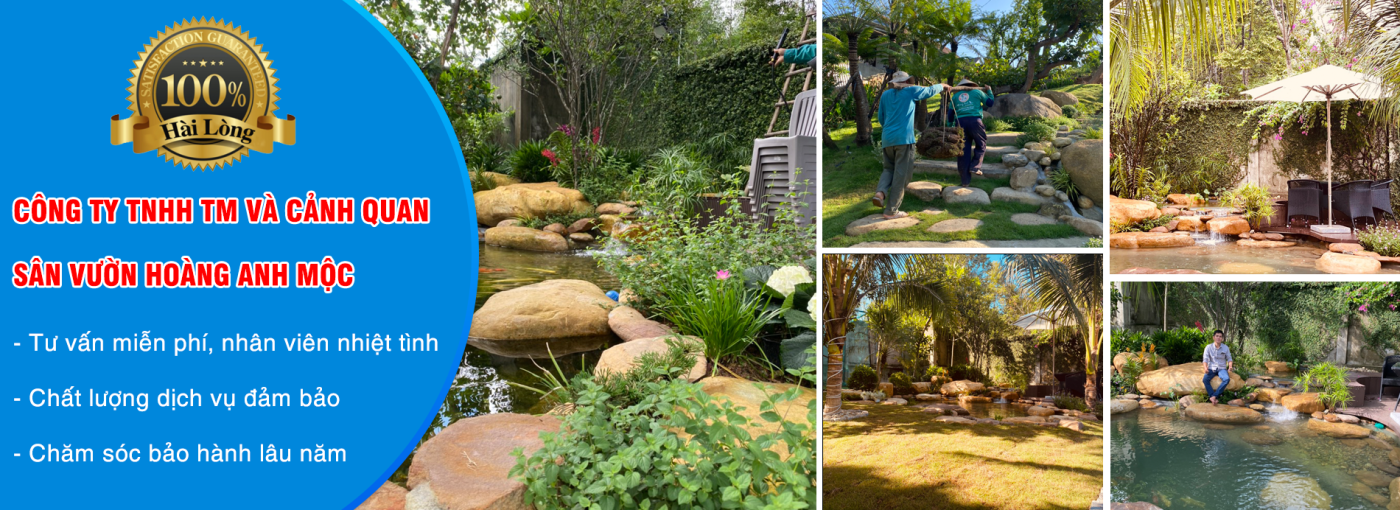 Công Ty TNHH TM Và Cảnh Quan Sân Vườn Hoàng Anh Mộc