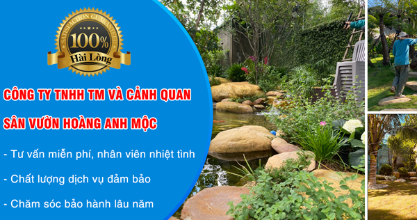 Công Ty TNHH TM Và Cảnh Quan Sân Vườn Hoàng Anh Mộc