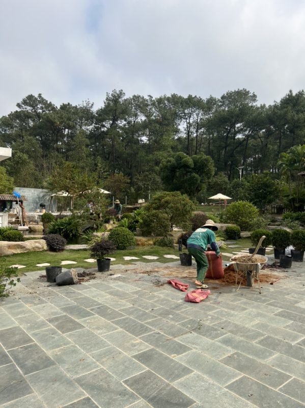 Công Ty TNHH TM Và Cảnh Quan Sân Vườn Hoàng Anh Mộc