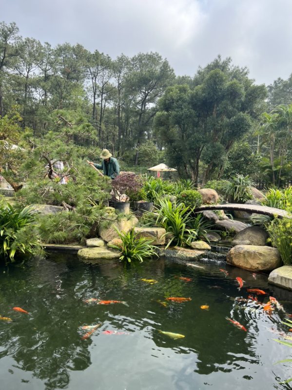 Công Ty TNHH TM Và Cảnh Quan Sân Vườn Hoàng Anh Mộc