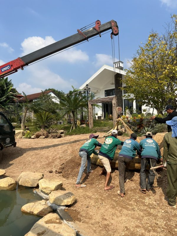 Công Ty TNHH TM Và Cảnh Quan Sân Vườn Hoàng Anh Mộc