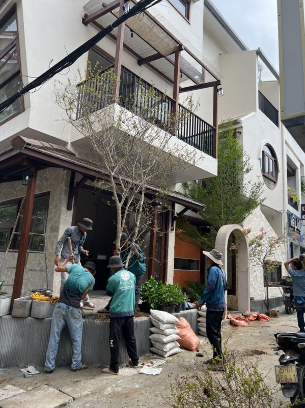 Công Ty TNHH TM Và Cảnh Quan Sân Vườn Hoàng Anh Mộc