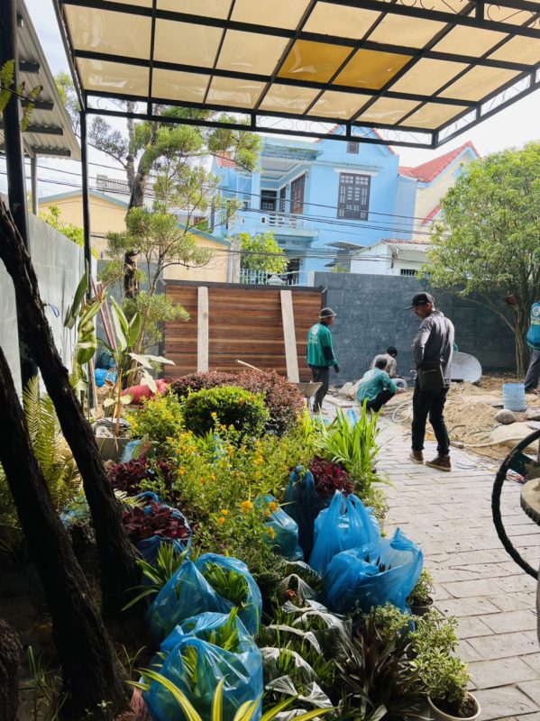 Công Ty TNHH TM Và Cảnh Quan Sân Vườn Hoàng Anh Mộc