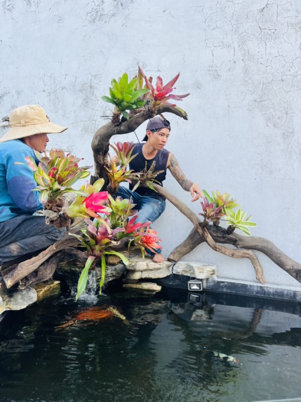 Công Ty TNHH TM Và Cảnh Quan Sân Vườn Hoàng Anh Mộc