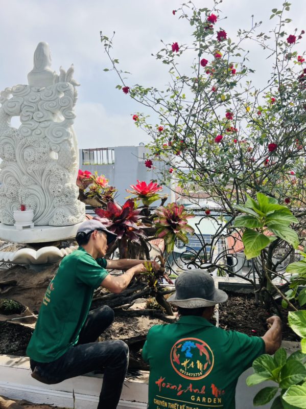 Công Ty TNHH TM Và Cảnh Quan Sân Vườn Hoàng Anh Mộc