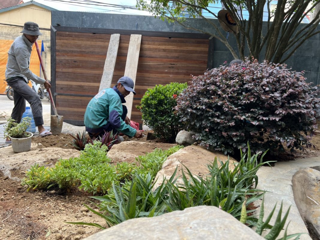 Công Ty TNHH TM Và Cảnh Quan Sân Vườn Hoàng Anh Mộc