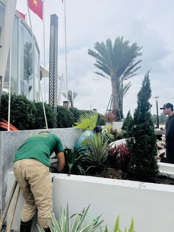 Công Ty TNHH TM Và Cảnh Quan Sân Vườn Hoàng Anh Mộc